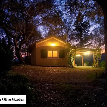 House In The Olive Garden Apartment Agios Ioannis  Ngoại thất bức ảnh
