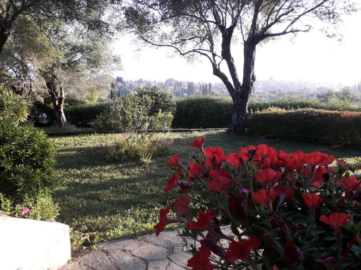 House In The Olive Garden Apartment Agios Ioannis  Ngoại thất bức ảnh