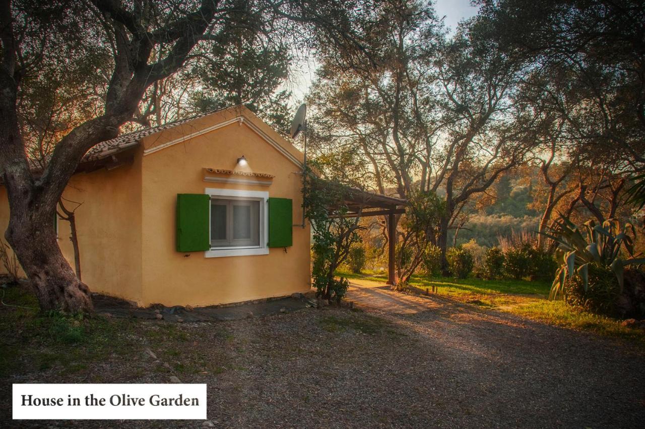 House In The Olive Garden Apartment Agios Ioannis  Ngoại thất bức ảnh