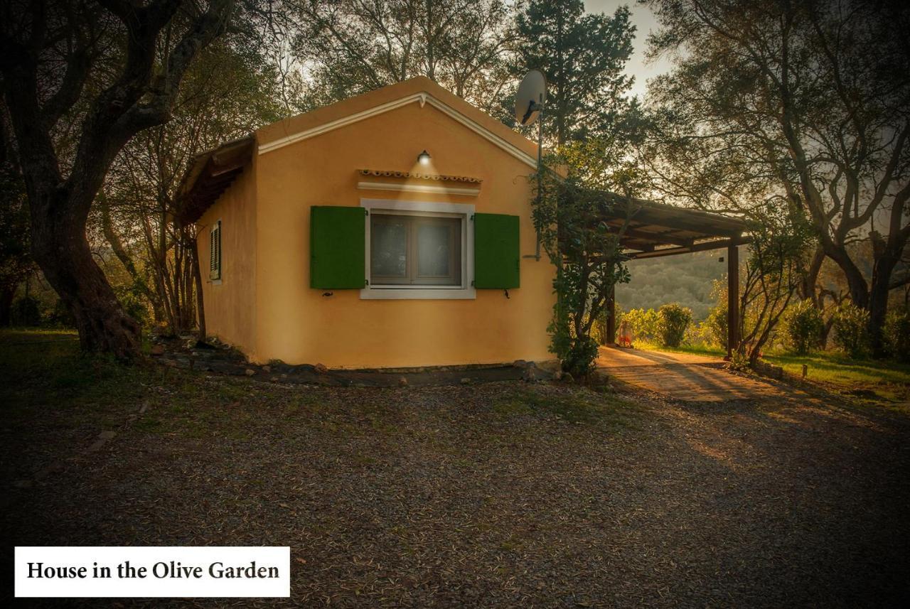 House In The Olive Garden Apartment Agios Ioannis  Ngoại thất bức ảnh