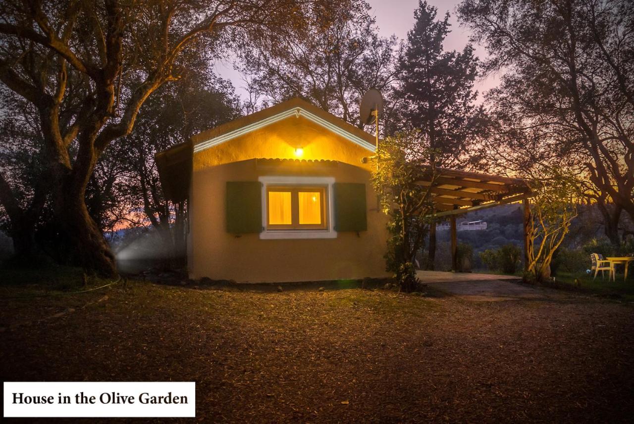 House In The Olive Garden Apartment Agios Ioannis  Ngoại thất bức ảnh