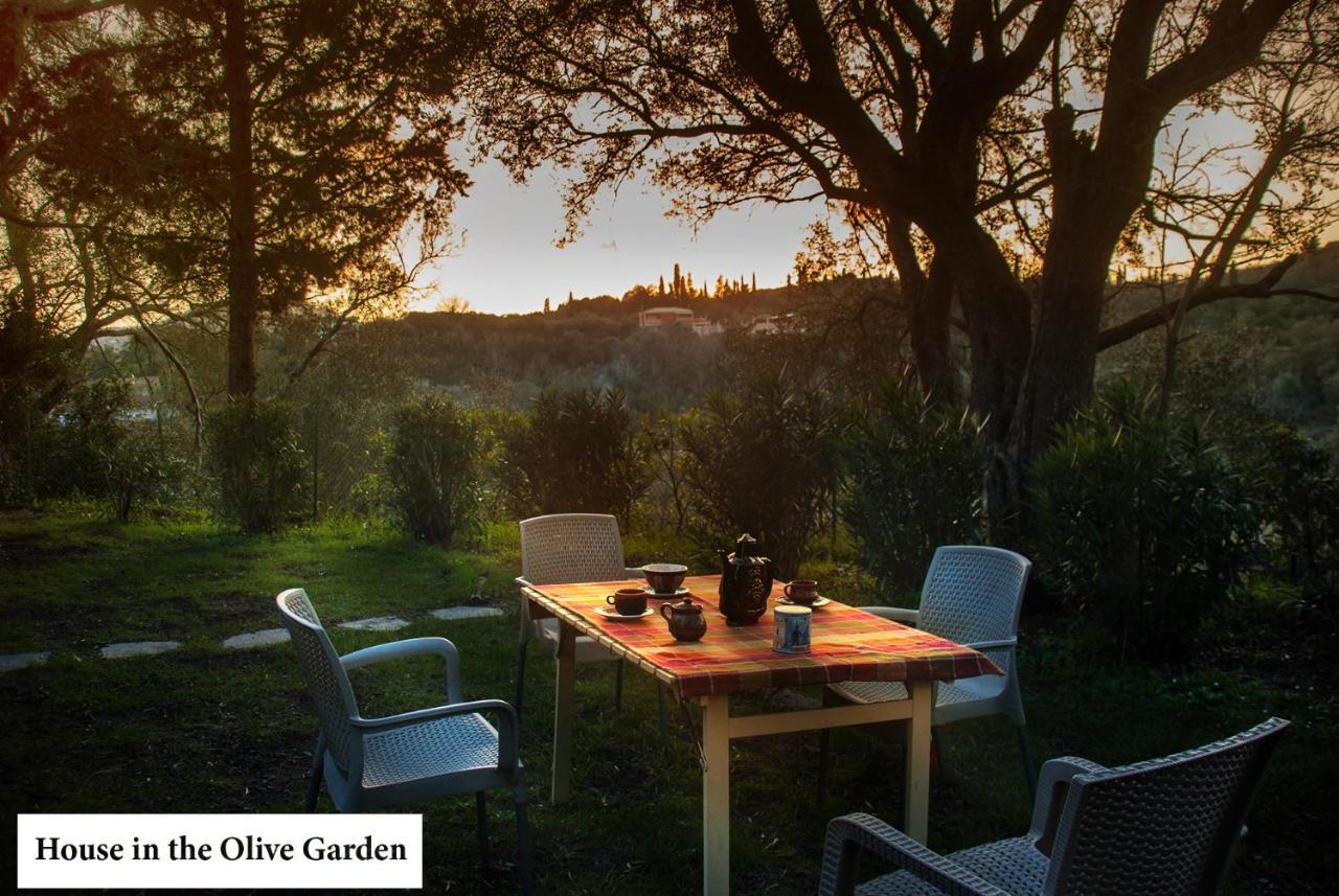 House In The Olive Garden Apartment Agios Ioannis  Ngoại thất bức ảnh