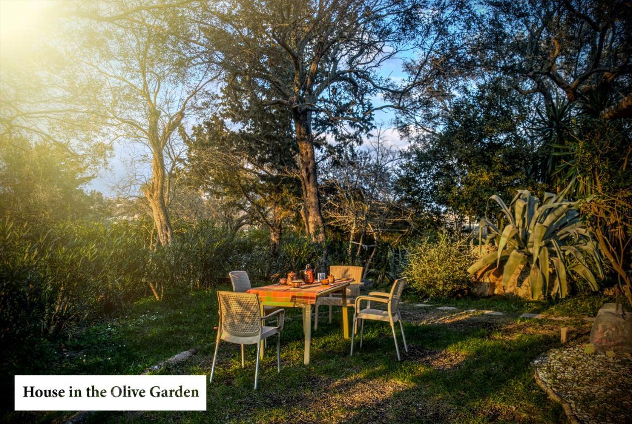 House In The Olive Garden Apartment Agios Ioannis  Ngoại thất bức ảnh