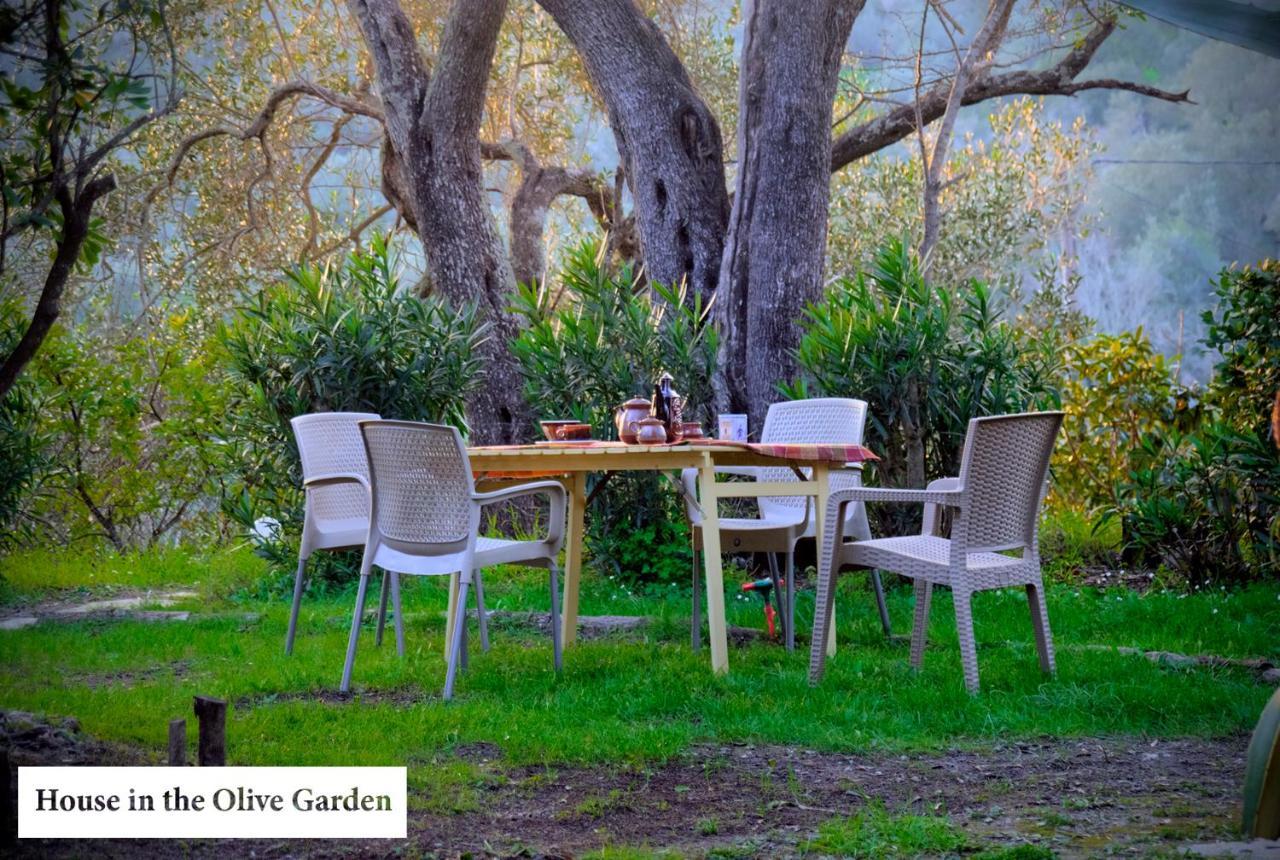 House In The Olive Garden Apartment Agios Ioannis  Ngoại thất bức ảnh