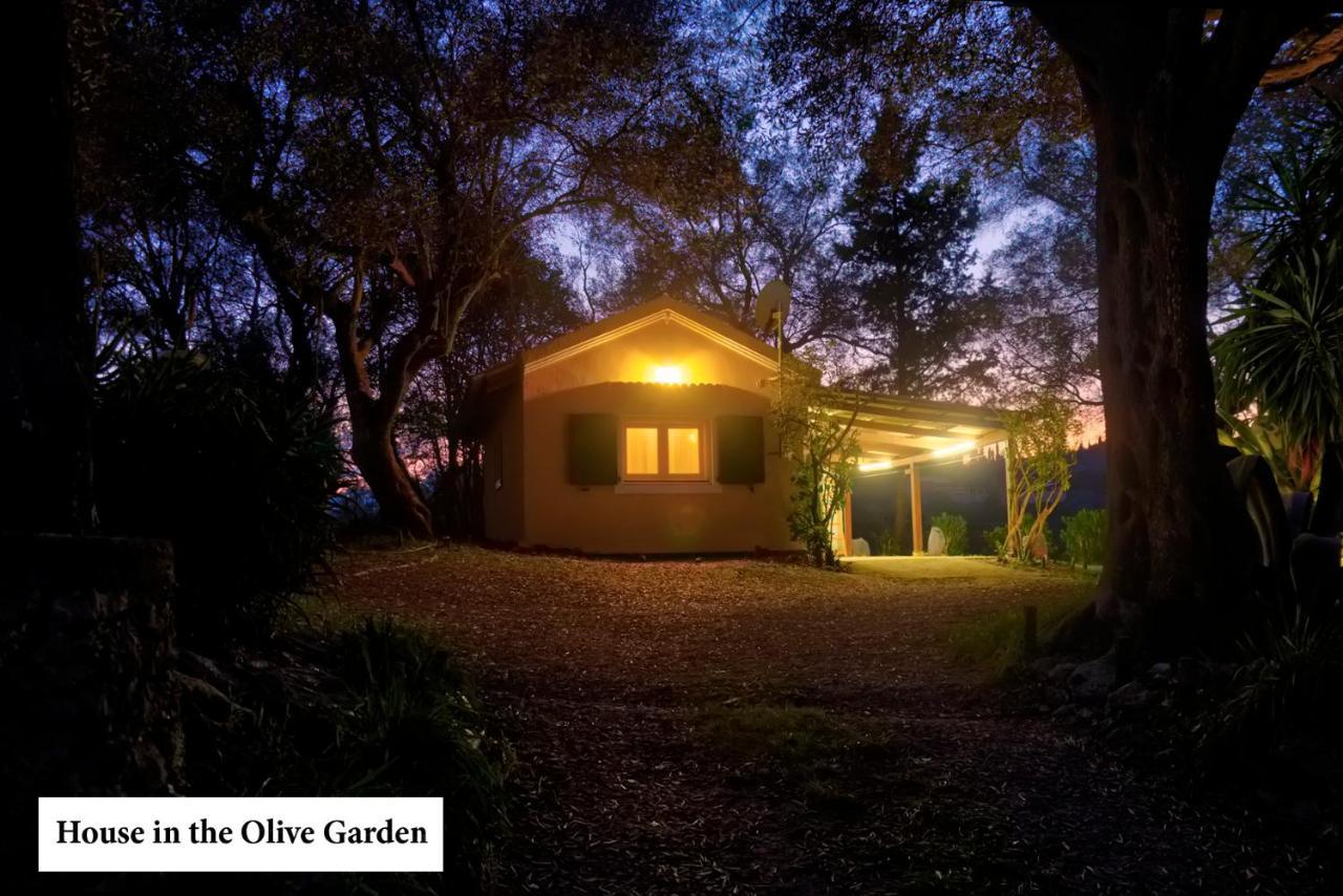 House In The Olive Garden Apartment Agios Ioannis  Ngoại thất bức ảnh