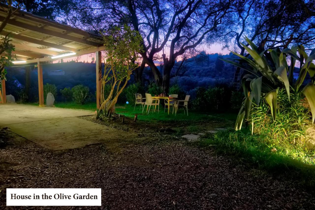 House In The Olive Garden Apartment Agios Ioannis  Ngoại thất bức ảnh