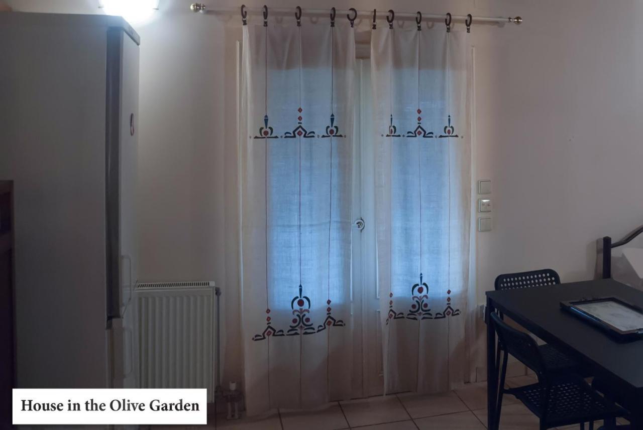 House In The Olive Garden Apartment Agios Ioannis  Ngoại thất bức ảnh