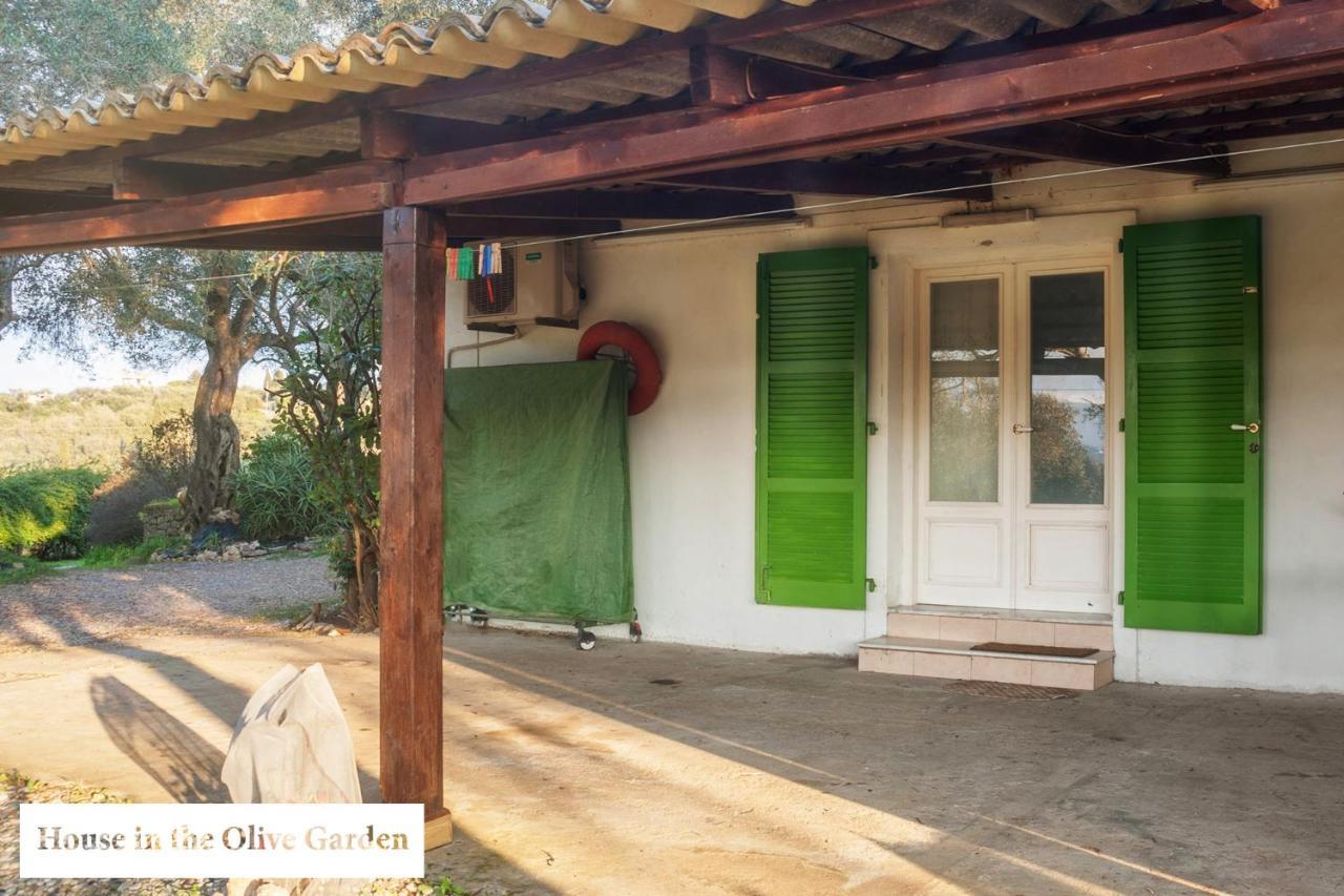 House In The Olive Garden Apartment Agios Ioannis  Ngoại thất bức ảnh