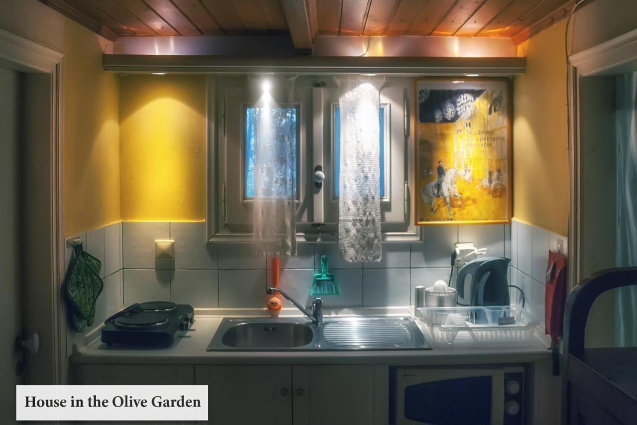 House In The Olive Garden Apartment Agios Ioannis  Ngoại thất bức ảnh
