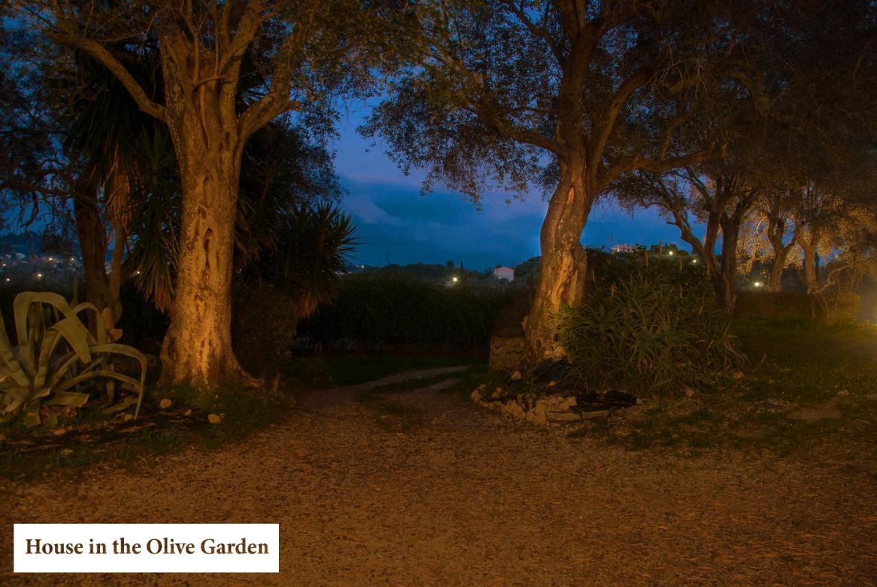 House In The Olive Garden Apartment Agios Ioannis  Ngoại thất bức ảnh