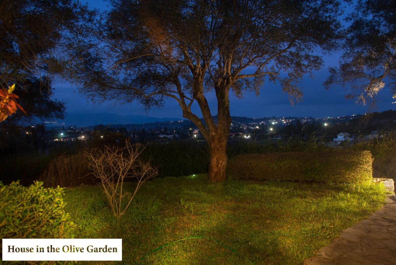 House In The Olive Garden Apartment Agios Ioannis  Ngoại thất bức ảnh