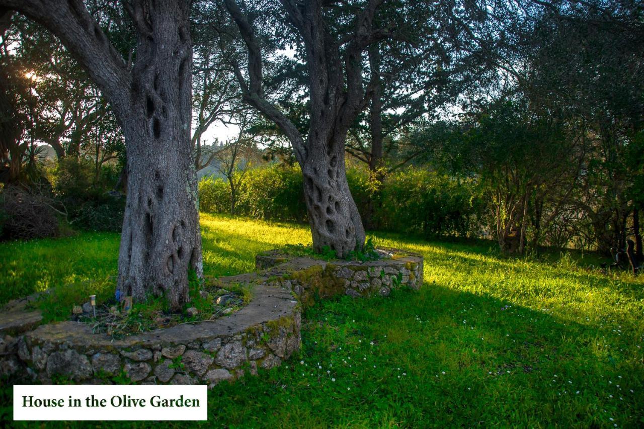 House In The Olive Garden Apartment Agios Ioannis  Ngoại thất bức ảnh