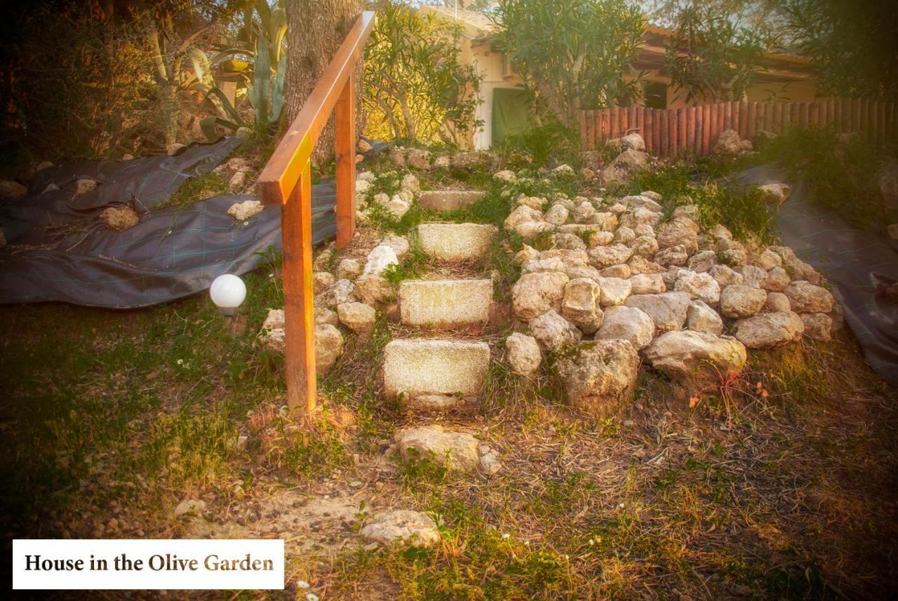 House In The Olive Garden Apartment Agios Ioannis  Ngoại thất bức ảnh