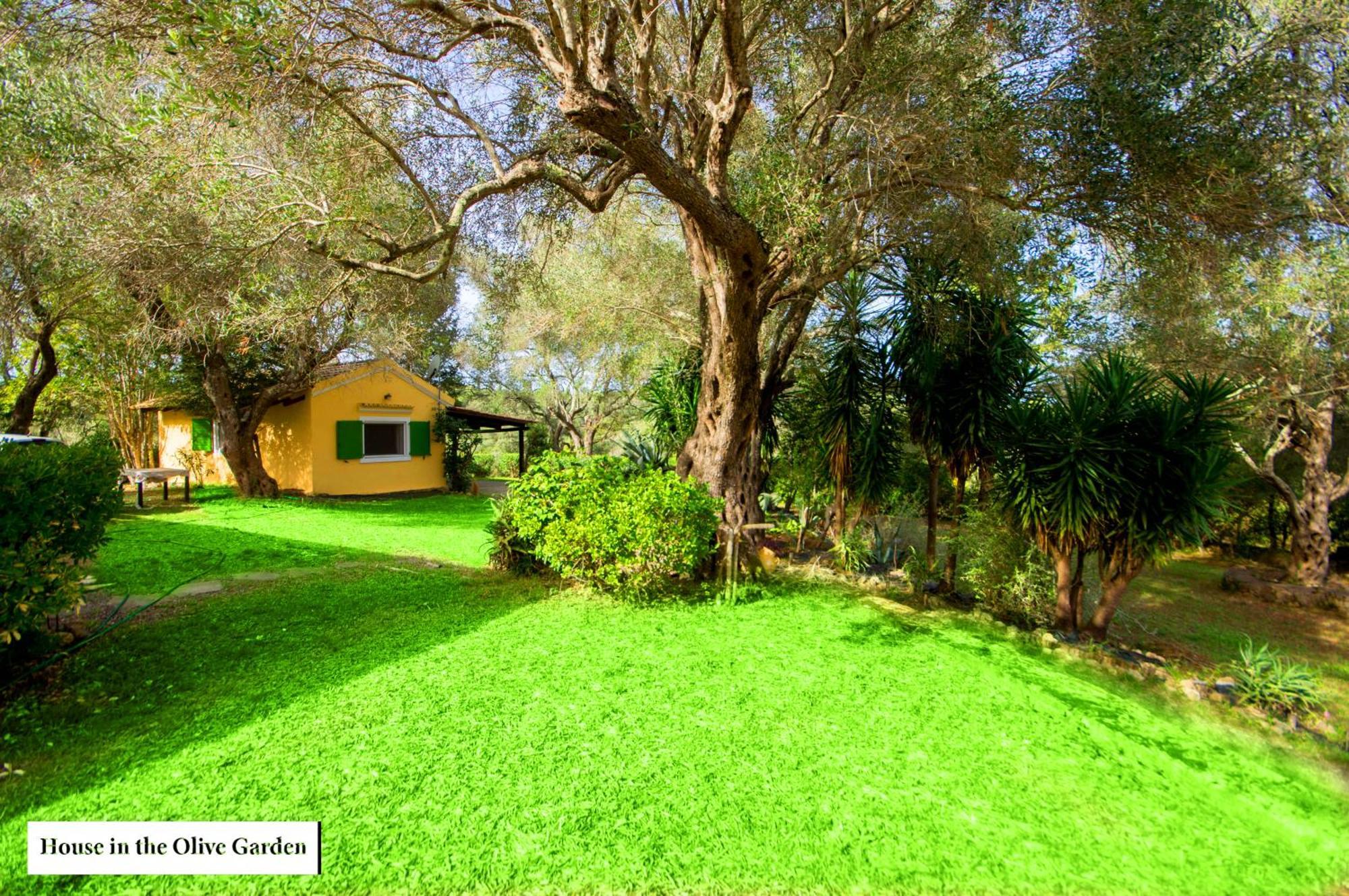 House In The Olive Garden Apartment Agios Ioannis  Ngoại thất bức ảnh