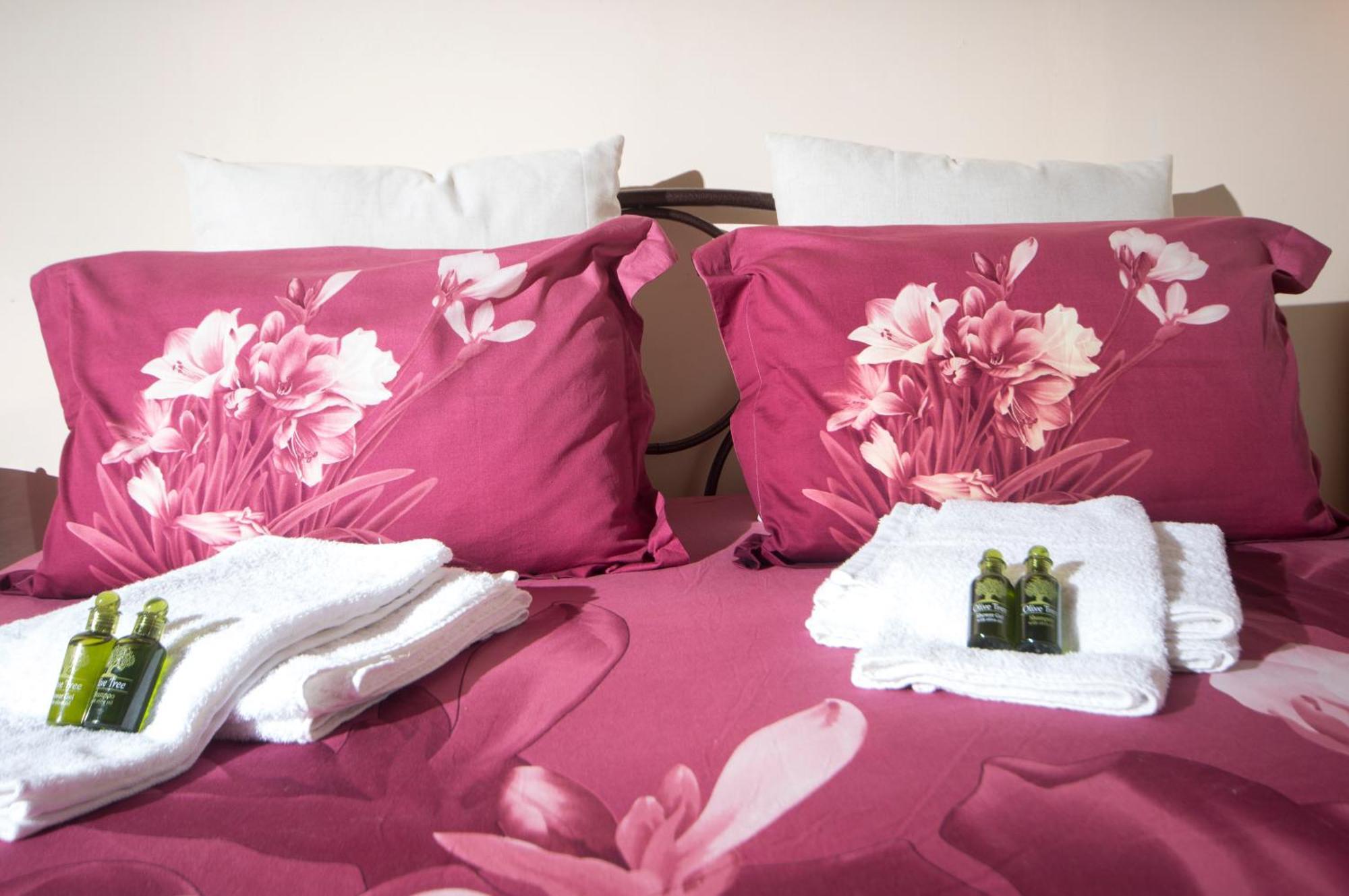 House In The Olive Garden Apartment Agios Ioannis  Ngoại thất bức ảnh