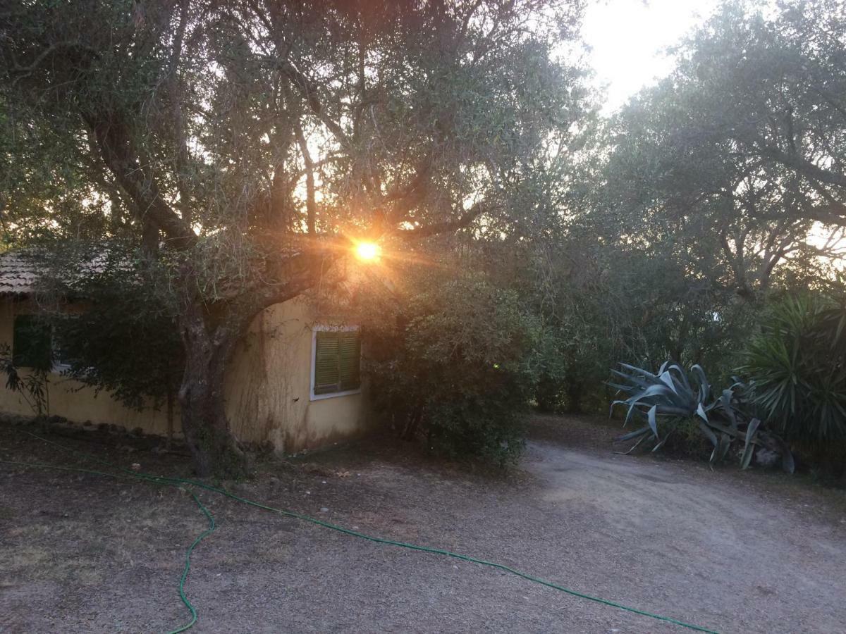 House In The Olive Garden Apartment Agios Ioannis  Ngoại thất bức ảnh