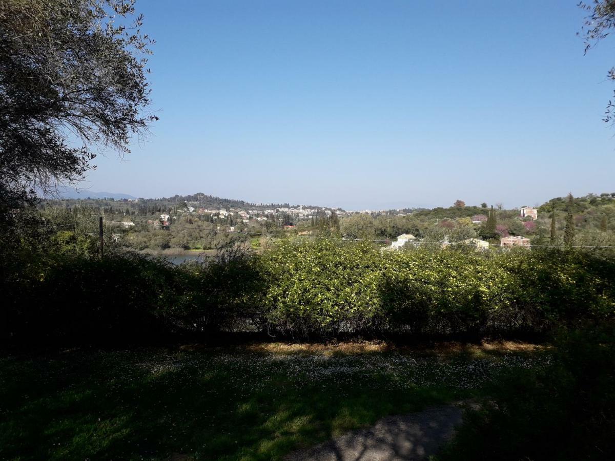 House In The Olive Garden Apartment Agios Ioannis  Ngoại thất bức ảnh