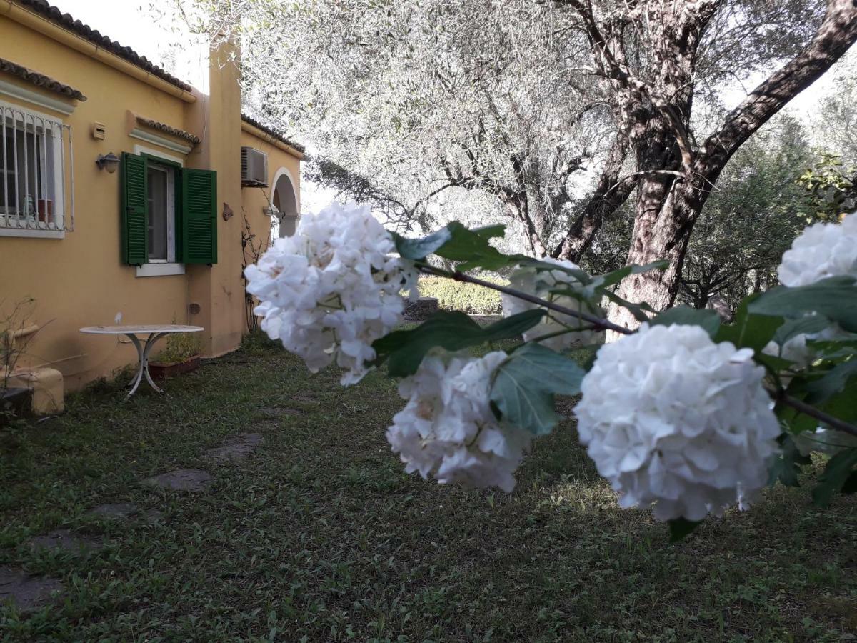 House In The Olive Garden Apartment Agios Ioannis  Ngoại thất bức ảnh