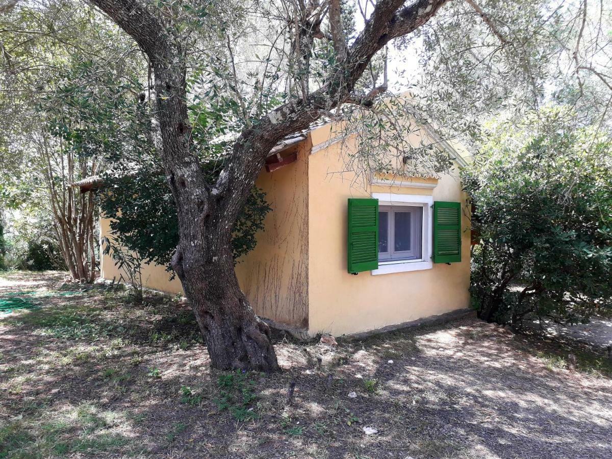 House In The Olive Garden Apartment Agios Ioannis  Ngoại thất bức ảnh