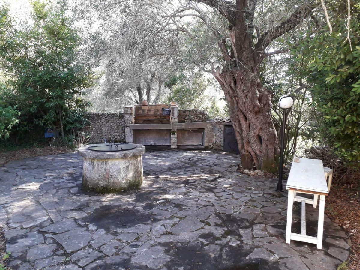 House In The Olive Garden Apartment Agios Ioannis  Ngoại thất bức ảnh