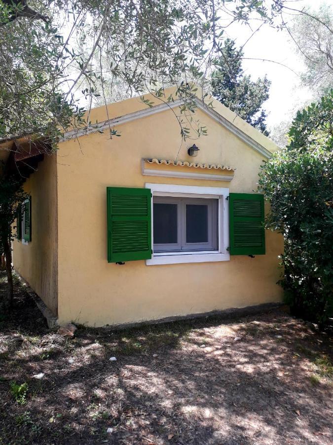 House In The Olive Garden Apartment Agios Ioannis  Ngoại thất bức ảnh